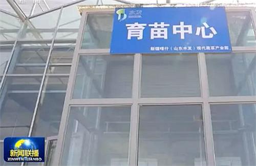 图片22